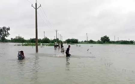जलभराव ने रोका जगनपुर का रास्ता, रक्षाबंधन पर ग्रामीणों की बढ़ी मुश्किलें