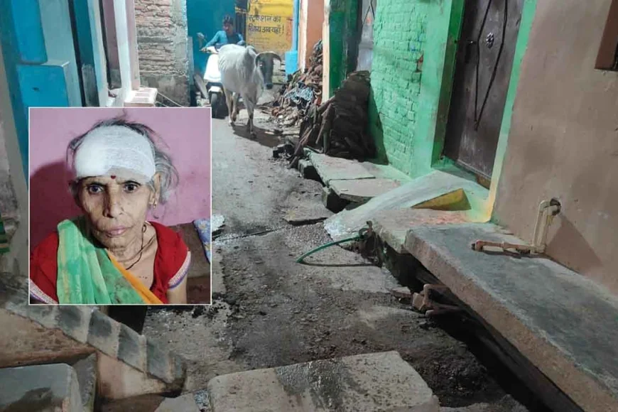 बाँदा : दबंगों की भेंट चढ़ी 73 वर्षीय रामप्यारी, परिवार की एकमात्र 'पालनहार' की पीट-पीटकर निर्मम हत्या