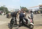 170 से अधिक वाहनों पर कार्रवाई, 5 वाहन सीज