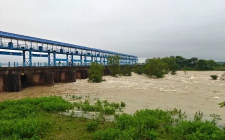 रसिन डैम के चारों गेट खोले गए, बाणगंगा-बागेन नदी में बढ़ सकता है जलस्तर