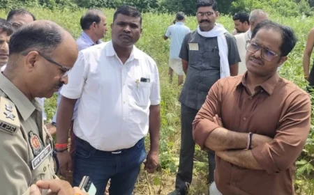 डीएम ने बाढ़ से प्रभावित फसलों की मांगी रिपोर्ट