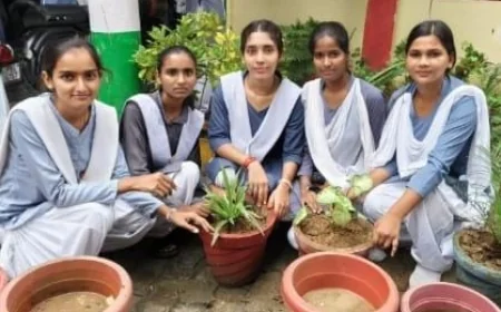 डायट में डीएलएड प्रशिक्षुओं ने पौधारोपण, पर्यावरण संरक्षण का किया अनूठा प्रयास
