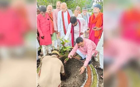 वृक्ष रोपित कर नमो वन की हुई स्थापना
