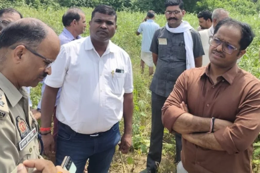 डीएम ने बाढ़ से प्रभावित फसलों की मांगी रिपोर्ट