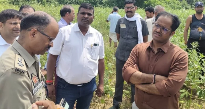 डीएम ने बाढ़ से प्रभावित फसलों की मांगी रिपोर्ट