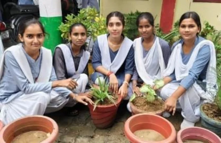 डायट में डीएलएड प्रशिक्षुओं ने पौधारोपण, पर्यावरण संरक्षण का किया अनूठा प्रयास