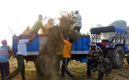 23 से 26 अक्टूबर तक भव्यतापूर्वक आयोजित होगा 79वां वार्षिक संत समागम