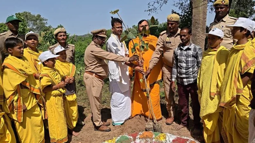 शोभन आश्रम में हुआ हरिशंकरी पौधरोपण कार्यक्रम